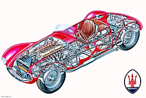 SE maser-skel-03.jpg